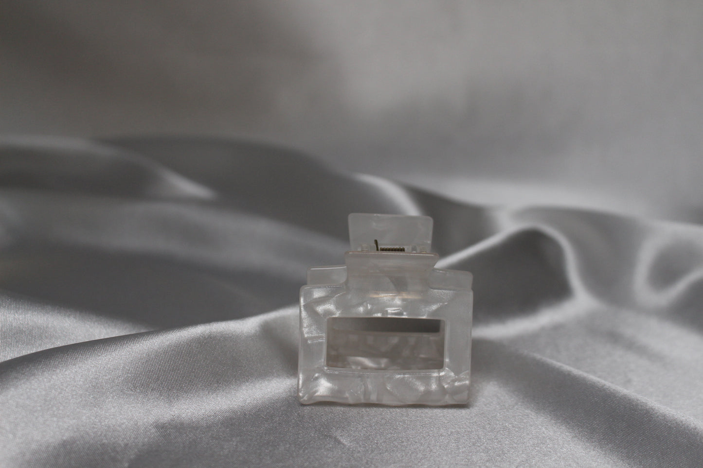 Seleny Jumbo Acetate Claw Clip Set (with Carrying Case & Comb)